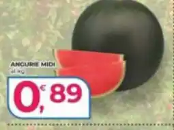 Alter Discount Angurie Midi offerta