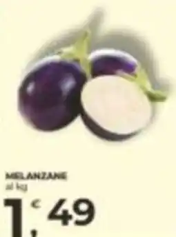 Alter Discount MELANZANE offerta