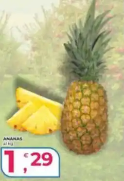 Alter Discount ANANAS offerta