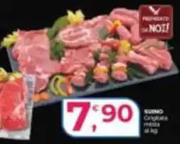 Alter Discount SUSINO Cinghiale mista offerta