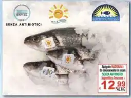 CTS Supermercati Spigole NAZIONALI (Agroittica Toscana) offerta