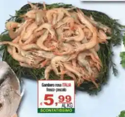 CTS Supermercati Gambero rosa ITALIA offerta