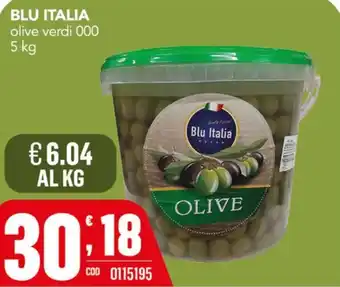 Gruppo di Palo Blu Italia olive verdi 000 offerta