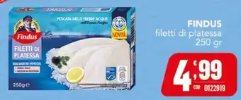 Gruppo di Palo Findus filetti di platessa offerta