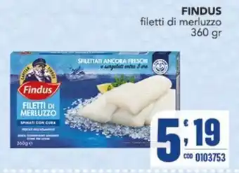 Gruppo di Palo Findus filetti di merluzzo offerta