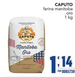 Gruppo di Palo CAPUTO farina manitoba oro offerta