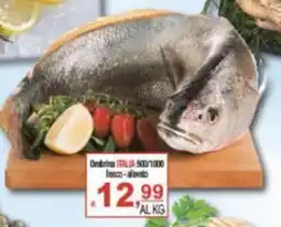 CTS Supermercati Ombrina ITALIA offerta