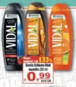 CTS Supermercati Doccia Schiuma Vidal offerta