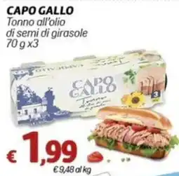 Marotta Tonno all'olio di semi di girasole offerta