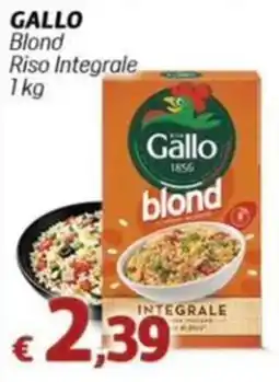 Marotta Gallo Blond Riso Integrale offerta