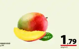 A&O MANGO GOLD offerta