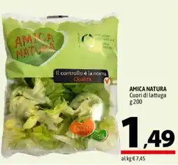 A&O AMICA NATURA Cuori di lattuga offerta