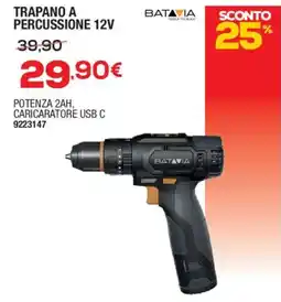 Self Trapano a Percussione 12V Batavia offerta
