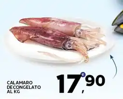 Extra Supermercati Calamaro de congelato offerta