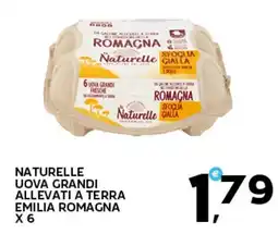 Extra Supermercati NATURELLE UOVA GRANDI ALLEVATI A TERRA offerta