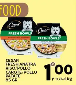 Extra Supermercati CESAR FRESH ANATRA RISO/POLLO CAROTE/POLLO PATATE offerta