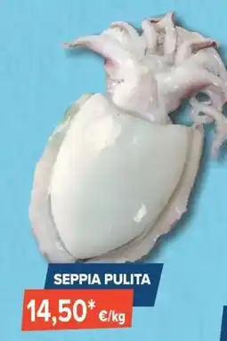 Sapore di Mare Seppia pulita offerta