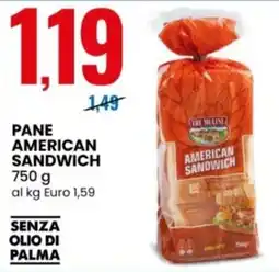 Eurospin PANE AMERICAN SANDWICH TRE MULINI offerta