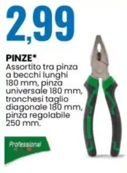 Eurospin PINZE* offerta