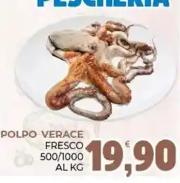 Eté Polpo verace fresco offerta