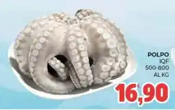 Eté Polpo IQF offerta