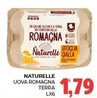 Eté Uova Romagna Terra offerta