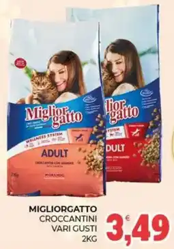Eté Migliorgatto croccantini offerta