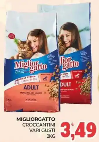 Eté Migliorgatto croccantini offerta