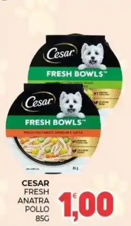 Eté Cesar Fresh Bowls Pollo con Carote, Finocchi e Zucca offerta