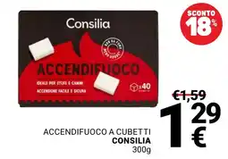 Supermercati Gulliver Accendifuoco a cubetti Consilia offerta