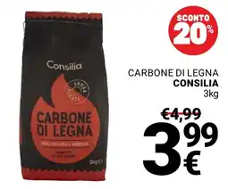 Supermercati Gulliver Carbone di legna Consilia offerta