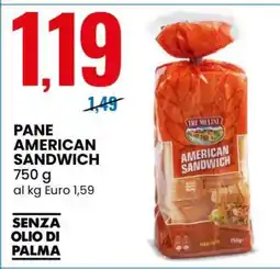 Eurospin PANE AMERICAN SANDWICH offerta