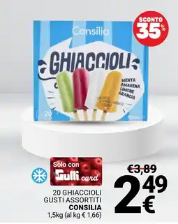 Supermercati Gulliver Ghiaccioli Consilia offerta