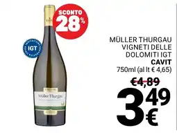 Supermercati Gulliver Müller thurgau vigneti delle dolomiti igt cavit offerta