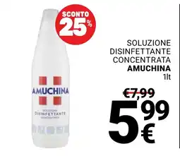 Supermercati Gulliver Soluzione disinfettante concentrata Amuchina offerta