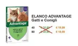 Zoomiguana Elanco Advantage Gatti e Conigli offerta