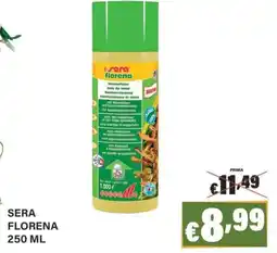 Zoomiguana Sera florena offerta