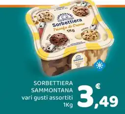 Conad Margherita Sorbettiera Sammontana offerta