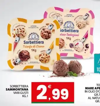 Sorbettiera Sammontana vari gusti