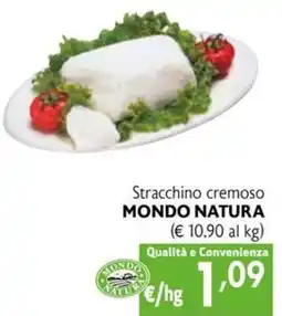 Maxi Family Stracchino cremoso mondo natura offerta