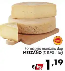 Maxi Family Formaggio montasio dop Mezzano offerta