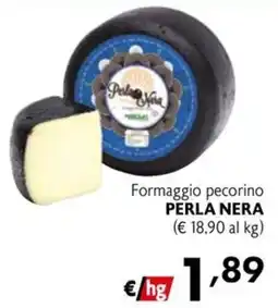 Maxi Family Formaggio pecorino Perla Nera offerta