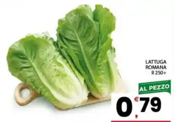 Lattuga romana