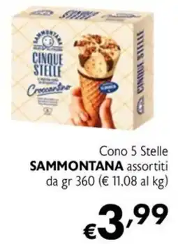 Maxi Family Cono 5 Stelle Sammontana offerta