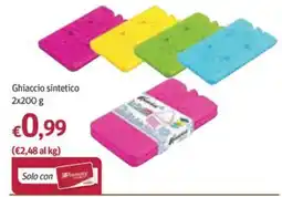 Futura Supermercati Ghiaccio sintetico offerta