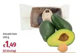 Futura Supermercati Avocado hass offerta
