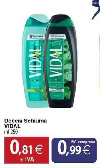 Docks Cash&Carry Doccia Schiuma Vidal offerta