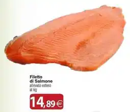 Docks Cash&Carry Filetto di Salmone offerta
