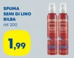 Panorama Spuma semi di lino Bilba offerta