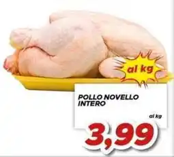 MA Supermercati Pollo novello intero offerta